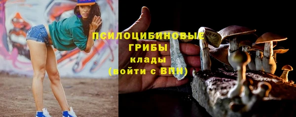 экстази Гусь-Хрустальный