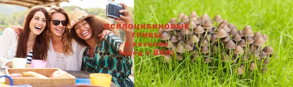 mdma Гусиноозёрск