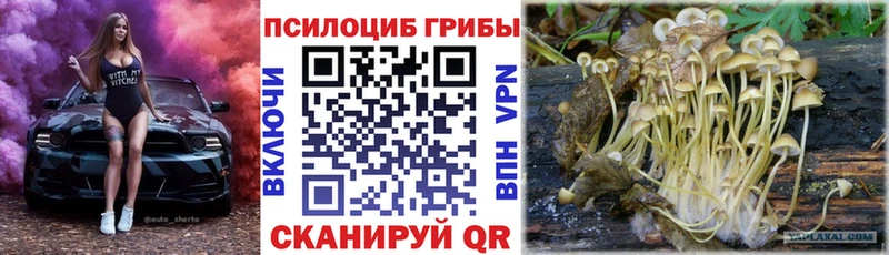 Псилоцибиновые грибы мицелий  Коломна 